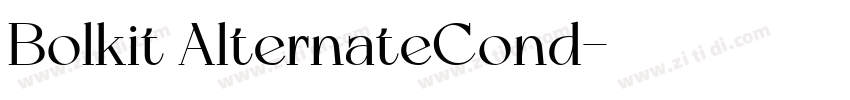Bolkit AlternateCond字体转换